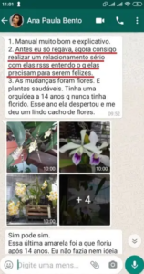 Captura de Tela (213)11