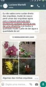 Captura de Tela (213)2