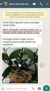 Captura de Tela (214)4444